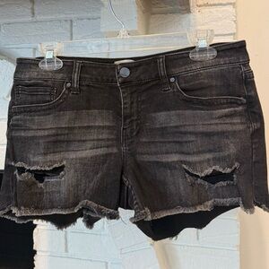 BKE Charcoal Distressed Jean Shorts